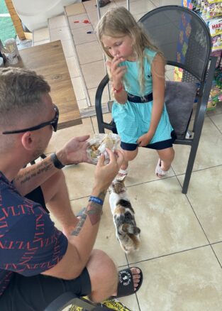 {{brizy_dc_image_alt imageSrc=