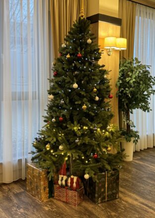 {{brizy_dc_image_alt imageSrc=